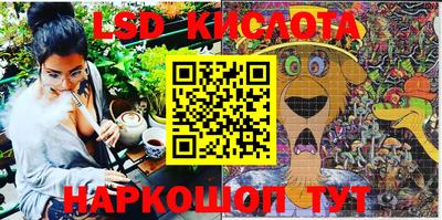 дурь Сланцы