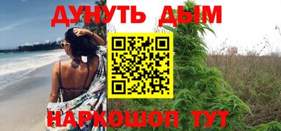 стафф Славгород